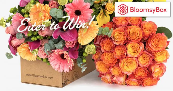 Introducing the Free Flower Giveaway from BloomsyBox! For a limited time, BloomsyBox is giving away one beautiful bouquet of flowers a week, totally free of charge. You read that right - free flowers every week! Each bouquet of flowers is valued up to $50