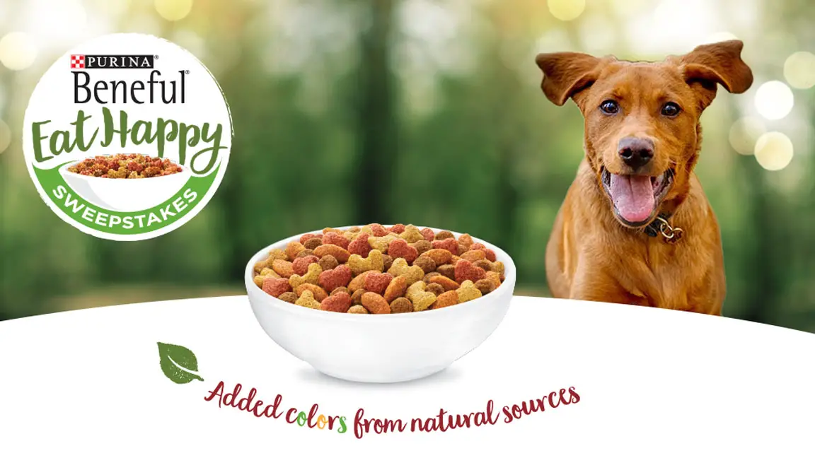 Try NEW tasty Beneful natural recipes with added vitamins, minerals & nutrients and enter for a chance to win a trip with your dog to a pet-friendly national or state park and other exciting weekly prizes! Eat Delicious. Eat Happy.