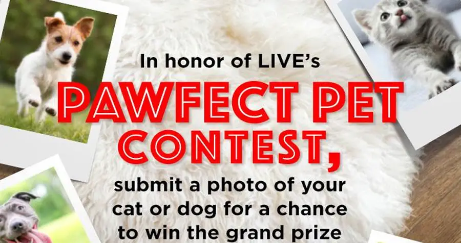 Submit a photo of your cat or dog to enter LIVE’s Pawfect Pet Photo Contest  for a chance to win the Grand Prize of $3,000 or other great prizes