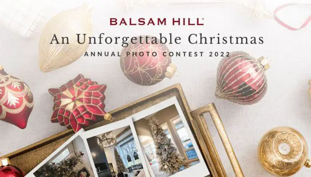 Turn wonderful moments to cherished memories! Spread the #BalsamHillLove by sharing a photo of your Balsam Hill Christmas tree for a chance to win our annual photo contest. A total of $1200 Balsam Hill shopping spree will be given away to five winners!