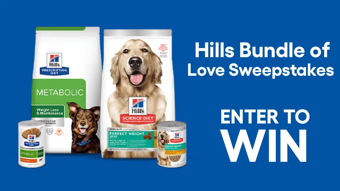Enter to win Hill's Bundle of Love Sweepstakes. The grand prize includes a $5,000 check that can be used toward Hill’s food, vet wellness visits, pet accessories and services for dog walking and exercise toys. To enter, complete the following L.O.V.E. test to find out if your pet is overweight.