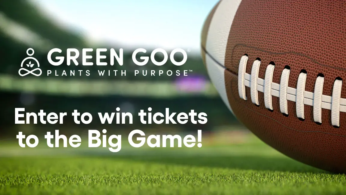 Green Goo Big Game Ticket Giveaway Sweepstakes