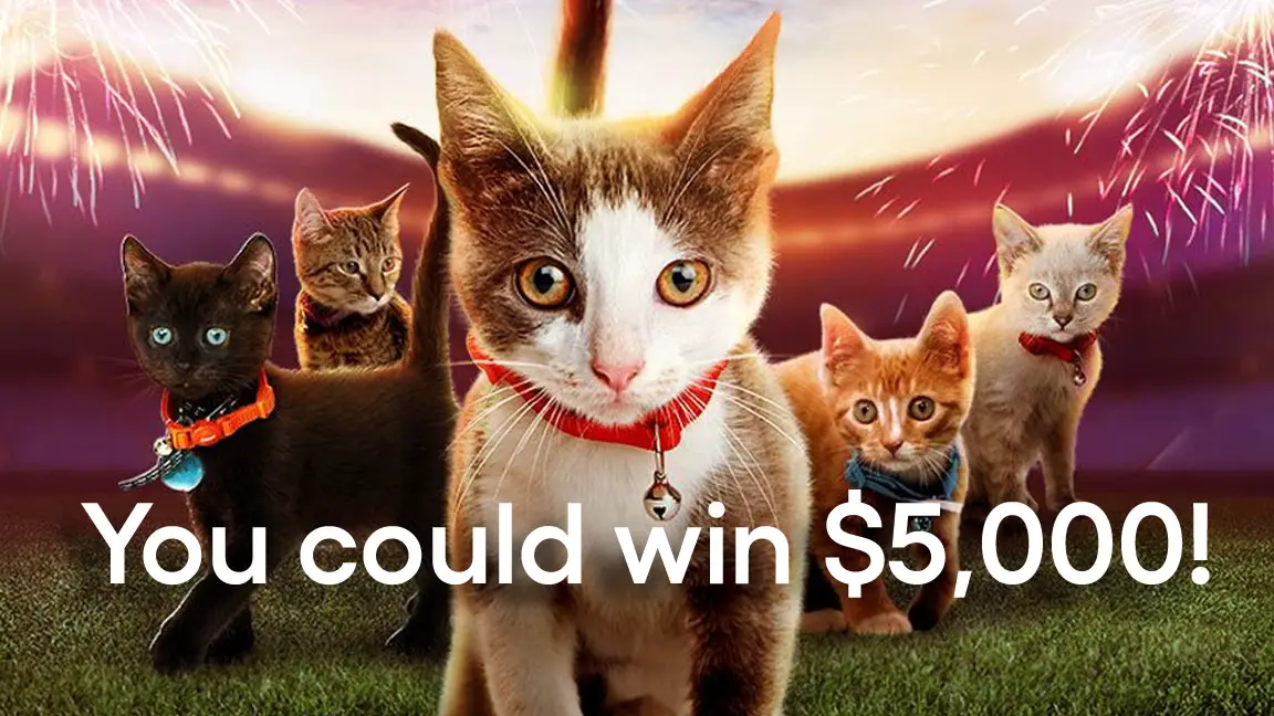 Enter for your chance to win $5,000 in the Arm & Hammer Slide Kitty Halftime Sweepstakes! To celebrate Puppy Bowl's Kitty Halftime Show, Animal Planet and the team at ARM & HAMMER™ SLIDE™ cat litter want to give one lucky winner a $5,000 check! Runner-up winners will receive fifteen coupons to be used toward any ARM & HAMMER™ brand cat litter. Enter daily through February 13th for a chance to win!