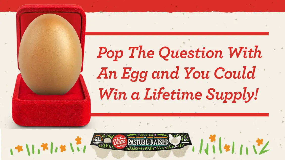 Happy Valentine's Day my loves. Diamonds are forever, and now, your eggs could be too. Vital Farms is giving away a lifetime supply of eggs to one lucky person who “pops the question” with an egg this February! Because “the one” deserves the very best. 