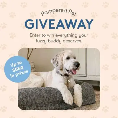 Pampered Pet $560 Giveaway