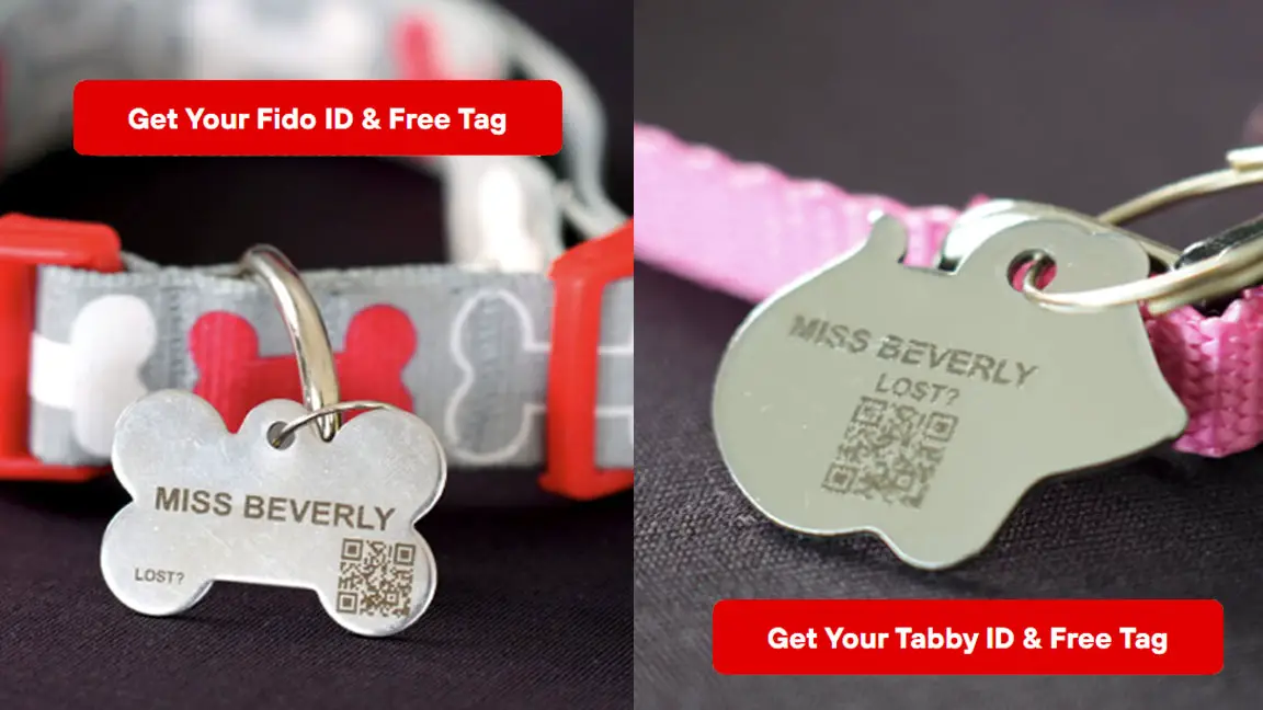 FREE Fido or Tabby ID & FREE Name Tag (Amber Alerts for Pets)