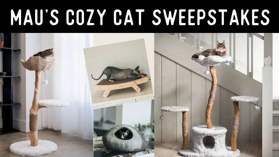 CatCrazy Channel and Mau have teamed up for the Mau’s Cozy Cat Sweepstakes to give two lucky winners a Mau’s Cozy Cat Starter Pack. Mau’s modern cat furniture is made of the highest quality materials and professionally designed to satisfy your kitty and look like ART in your home.