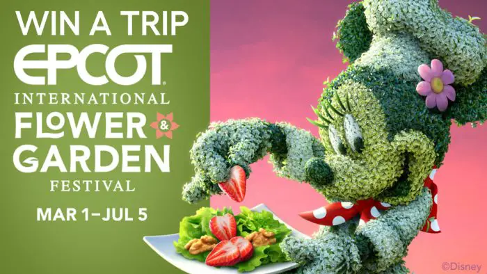 Are you ready to keep blooming with the magic of springtime? The National Cherry Blossom Festival is giving away a Walt #Disney World® Vacation. It's a springtime adventure like no other at the EPCOT® International Flower & Garden Festival. From beautiful Disney character topiaries to irresistible dishes from Outdoor Kitchens -- there's something for everyone to enjoy. Plus, lively entertainment from the Garden Rocks™ Concert Series. And now you can win a vacation to see it all for yourself. Complete the form below, answer a few questions, and submit your information to be entered.