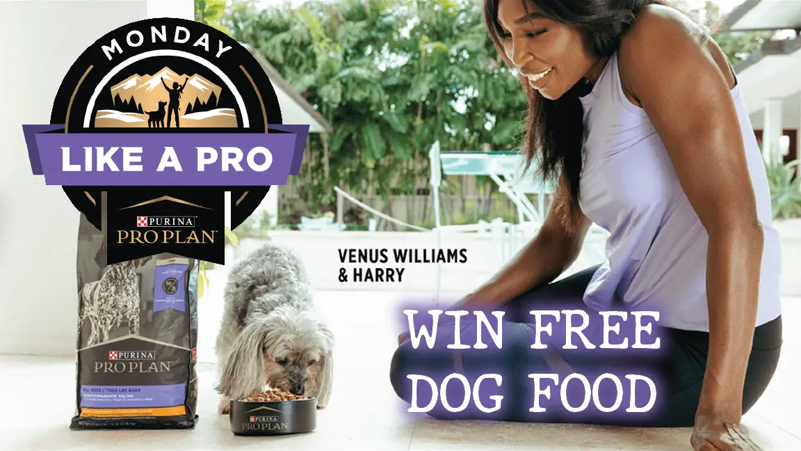Take the Purina @ProPlan Challenge for your chance to win Free Purina Pro Plan dry dog food for a year! Join tennis superstar Venus Williams, and her dog Harry, by getting out and staying active with your dog. For every week we collectively log 1 million minutes, Pro Plan will donate $15,000 (up to a total donation of $150,000) to Athletes for Animals.