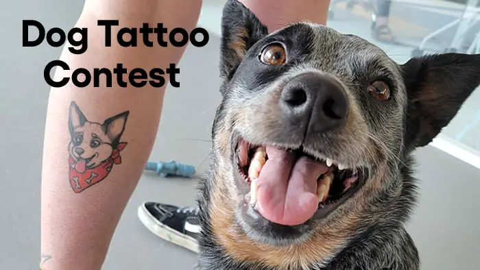 Enter to win a tattoo of your dog when you enter the BARK National Dog Day Tattoo Contest. In honor of National Dog Day, Bark.co is going track down the ol’ company credit card and whippet out for you to get some sweet ink of your sweet pup. All you have to do is sit as well as they do.