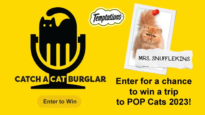Burglars broke into a TEMPTATIONSᵀᴹ Dry Cat Food delivery truck and took everything! Submit who you think the purrrpetrator is for a chance to win a whole kitten caboodle of TEMPTATIONS treats, food and swag and a trip to POP Cats™, a fun-packed festival of cat, pop and art in Seattle. Follow along as Brit Prawat dives into the first episode of this twisted "tail."