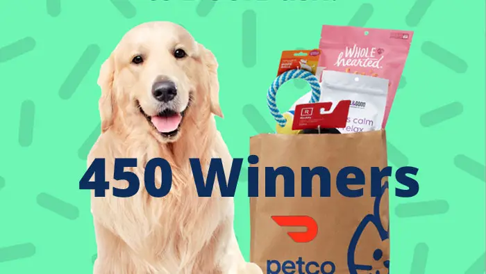 Doordash National Dog Day Sweepstakes (Dog Owners, 450 Winners)