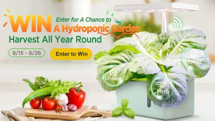 LetPot Mini Smart Hydroponic Garden Giveaway - Harvest veggies all year round