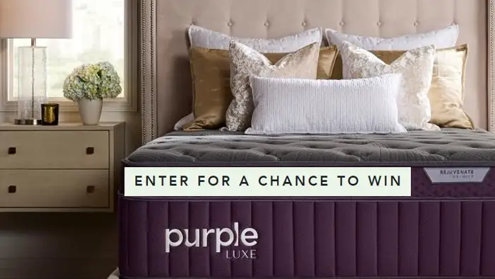 Laundry Sauce Valentine's Day Giveaway - Win a Purple Queen Mattress!