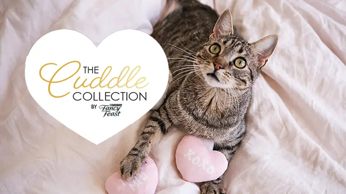 Nestlé Purina Fancy Feast Valentine’s Day "Cuddle Collection" Sweepstakes