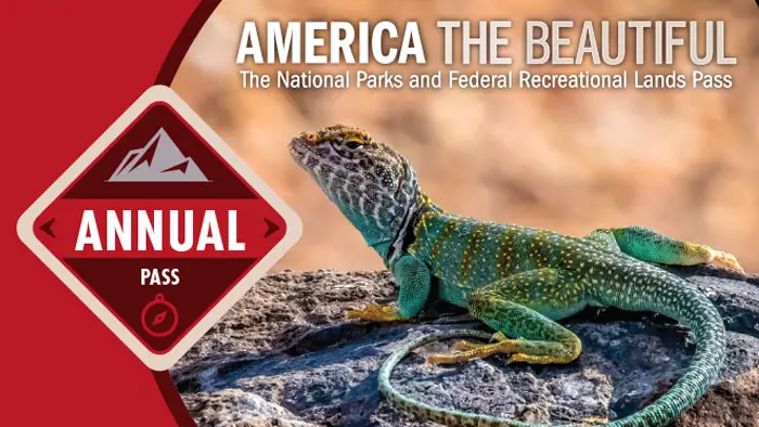 Enter the Coca-Cola National Parks Foundation Sweepstakes for your chance to win one of 100 smartwater branded backpacks, a disposable camera and one National Parks & Federal Recreational Land annual pass and hangtag