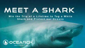 Enter for your chance to win a trip for two to participate in a Shark Expedition with OCEARCH in France, Ireland or Spain. Join the team on board the M/V OCEARCH for the unique opportunity to meet a white shark on an upcoming ocean research expedition! 