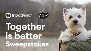 Enter for a chance to win a trip for you and your dog and a year of CESAR® Canine Cuisine. You could win a dream vacation with your dog to anywhere in the U.S. and get a year’s supply of CESAR Canine Cuisine - one lucky winner will be chosen! Plus, 100 additional entrants will win a dog travel package, filled with essentials for pets on the move. The best part? Everybody who enters will get a bonus gift to put towards their trips.