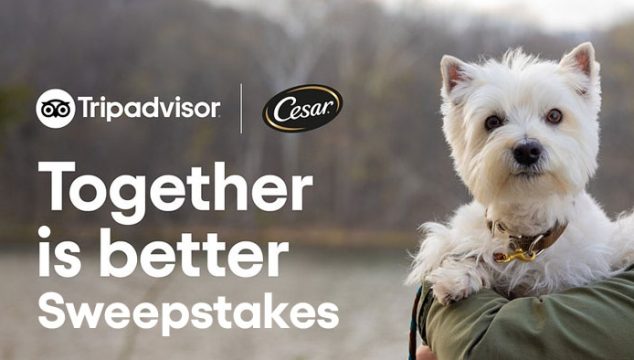 Enter for a chance to win a trip for you and your dog and a year of CESAR® Canine Cuisine. You could win a dream vacation with your dog to anywhere in the U.S. and get a year’s supply of CESAR Canine Cuisine - one lucky winner will be chosen! Plus, 100 additional entrants will win a dog travel package, filled with essentials for pets on the move. The best part? Everybody who enters will get a bonus gift to put towards their trips.