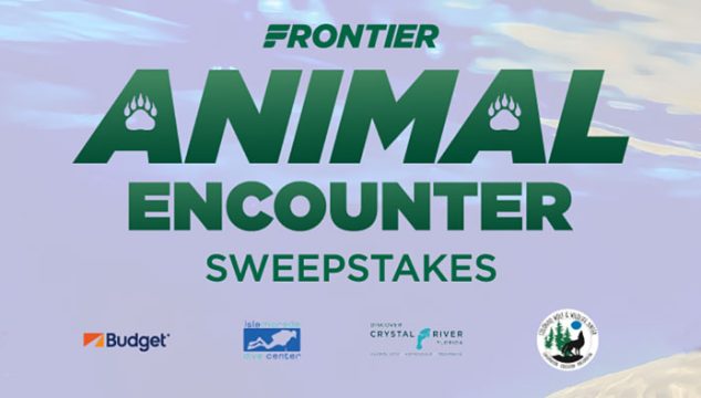 Enter the Frontier Airlines Sweepstakes for your chance to win 1 of 4 animal encounter getaways. Each prize package includes 2 round-trip flights and a 3-day car rental provided by Budget & Avis.