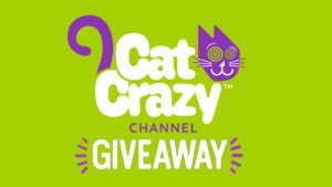 Cat Crazy Meowvelous October Sweepstakes