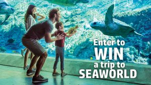 Win a trip to SeaWorld® Orlando and race on the new Penguin Trek. Also, enjoy the water thrills of Aquatica® Orlando, including the all-new Tassie’s Underwater Twist, plus accommodation at Renaissance Orlando at SeaWorld, flights provided by Frontier Airlines, and a rental vehicle.
