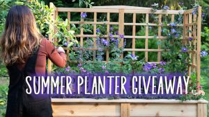 Eartheasy Natural Cedar Elevated Planter with U-Trellis Giveaway