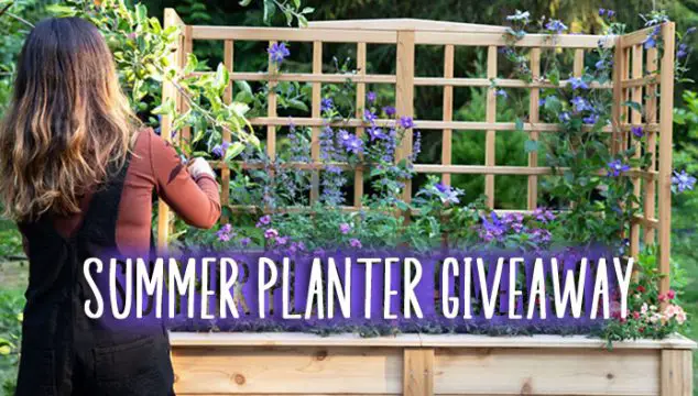 Eartheasy Natural Cedar Elevated Planter with U-Trellis Giveaway