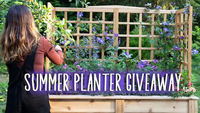 Eartheasy Natural Cedar Elevated Planter with U-Trellis Giveaway