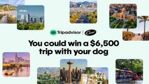Trip Advisor & Cesar Pet-Friendly Sweepstakes (101 Winners)