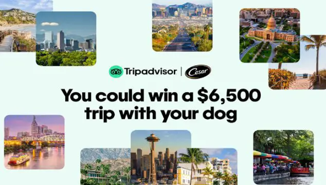 Trip Advisor & Cesar Pet-Friendly Sweepstakes (101 Winners)