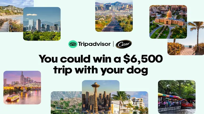 Trip Advisor & Cesar Pet-Friendly Sweepstakes (101 Winners)