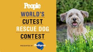 People’s World’s Cutest Rescue Dog Contest sponsored by Pedigree