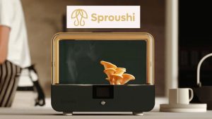 Sproushi Gourmet Mushroom Grower Giveaway