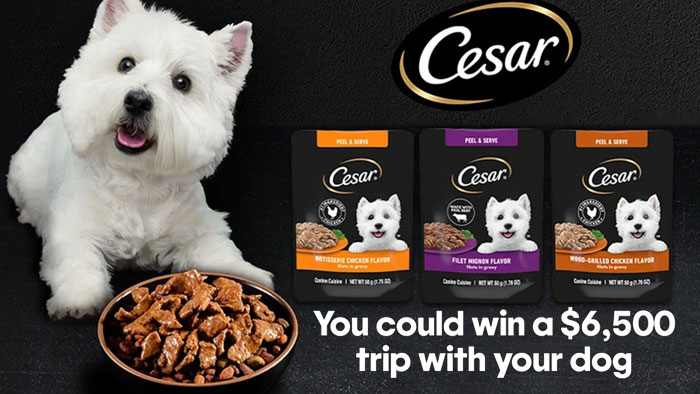 CESAR Travelers’ Choice Pet-Friendly Sweepstakes (101 Winners)