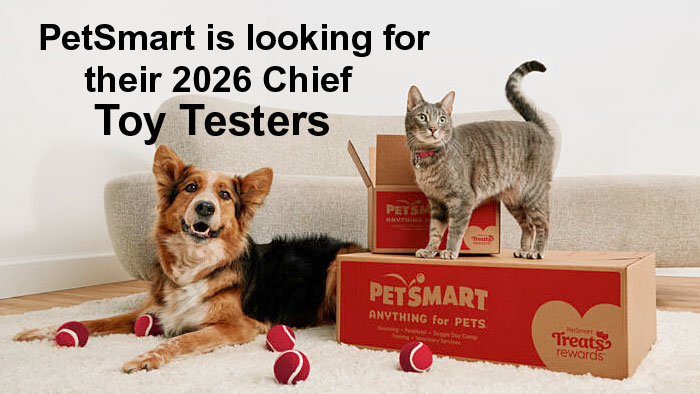 PetSmart Chief Toy Tester Contest (Dog or Cat Owners)