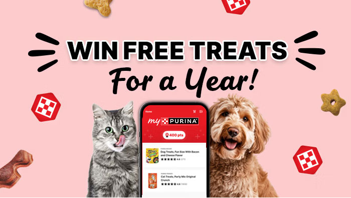 Nestlé Purina PetCare National Dog Show Busy Bee Sweepstakes (2,500 Prizes)