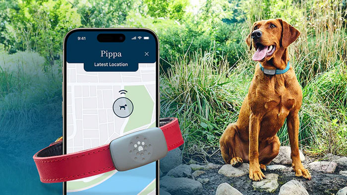 Enter for your chance to win a Petivity Dog Tracker and 1 month Subscription from Nestlé Purina. There will be 500 winners in all. Entering is free. The Petivity Dog Tracker uses GPS to track your dog's location while they're at your house, out on walks, or possibly lost.