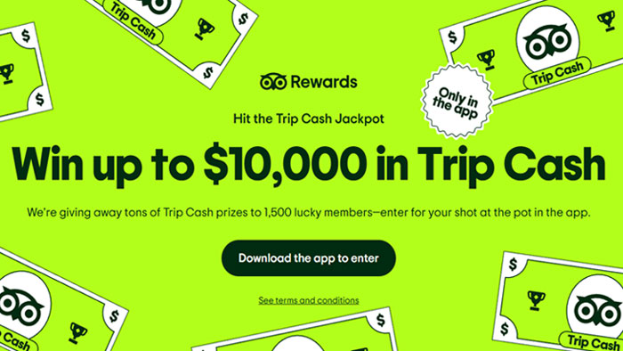 Tripadvisor Trip Cash Giveaway (1,500 Trip Cash Prizes)