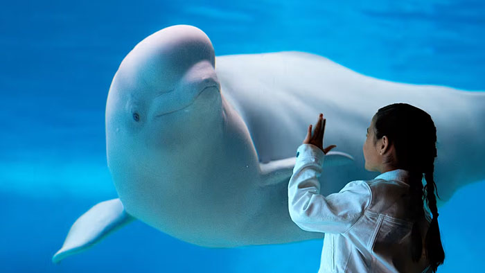 Win an SeaWorld® Orlando Family Vacation Sweepstakes