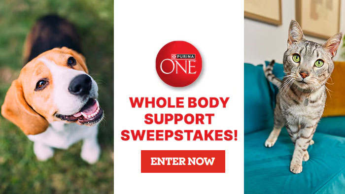 Purina PetCare Free Year of ONE Whole Body Sweepstakes