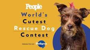PEOPLE's World's Cutest Rescue Dog Contest Presented by the PEDIGREE brand