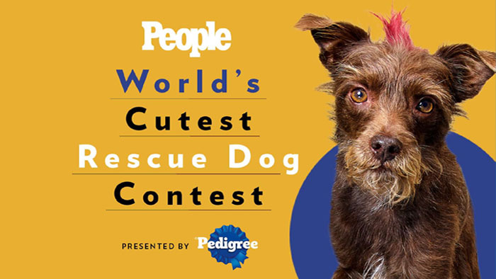 PEOPLE's World's Cutest Rescue Dog Contest Presented by the PEDIGREE brand