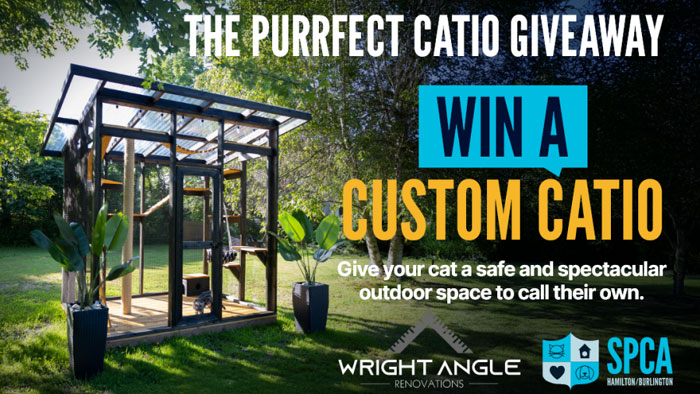 Win a Custom Catio by Wright Angle Renovations