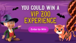 Keebler Spookie Find the Stripes Sweepstakes